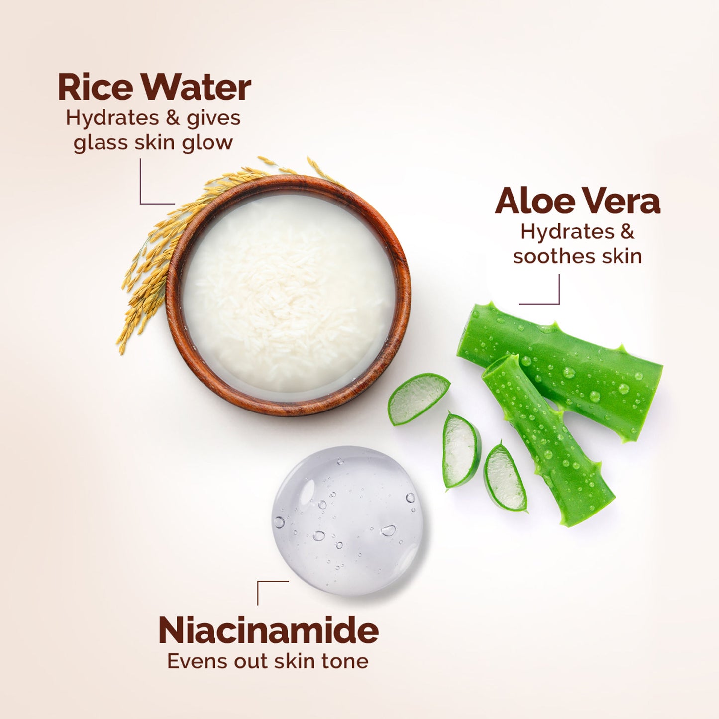 Mamaearth Rice Oil-Free Face Moisturizer For Oily Skin - Dista