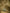 Nuyug 22K Gold-Plated Crystal & Pearl Studded Matha Patti