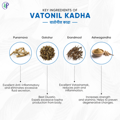 Pathak Ayurvedic Pharmacy Vatonil Kadha - Distacart