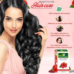 Thumbnail for VedicAyurveda Bio-Organic Industry Hibiscus Powder - Dista