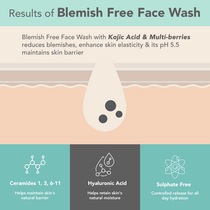 Lotus DermaBotanics Kojic acid + Multi berry Blemish - Free Facewash - Distacart