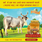 Thumbnail for Gavyamart Bhadwa Ghee (Bhadrapad)