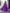 NOZ2TOZ Women Floral Printed Knee Length Elbow Length Sleeves Round Neck Kurti And Palazzo Set With Net Dupatta - Purple - Distacart