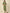 Aramya Straight Soft Cotton Floral Print Women's Kurta - Green