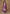 Vegaa Fashion Onion Pink Chinon Silk Embroidered Designer Palazzo Suit