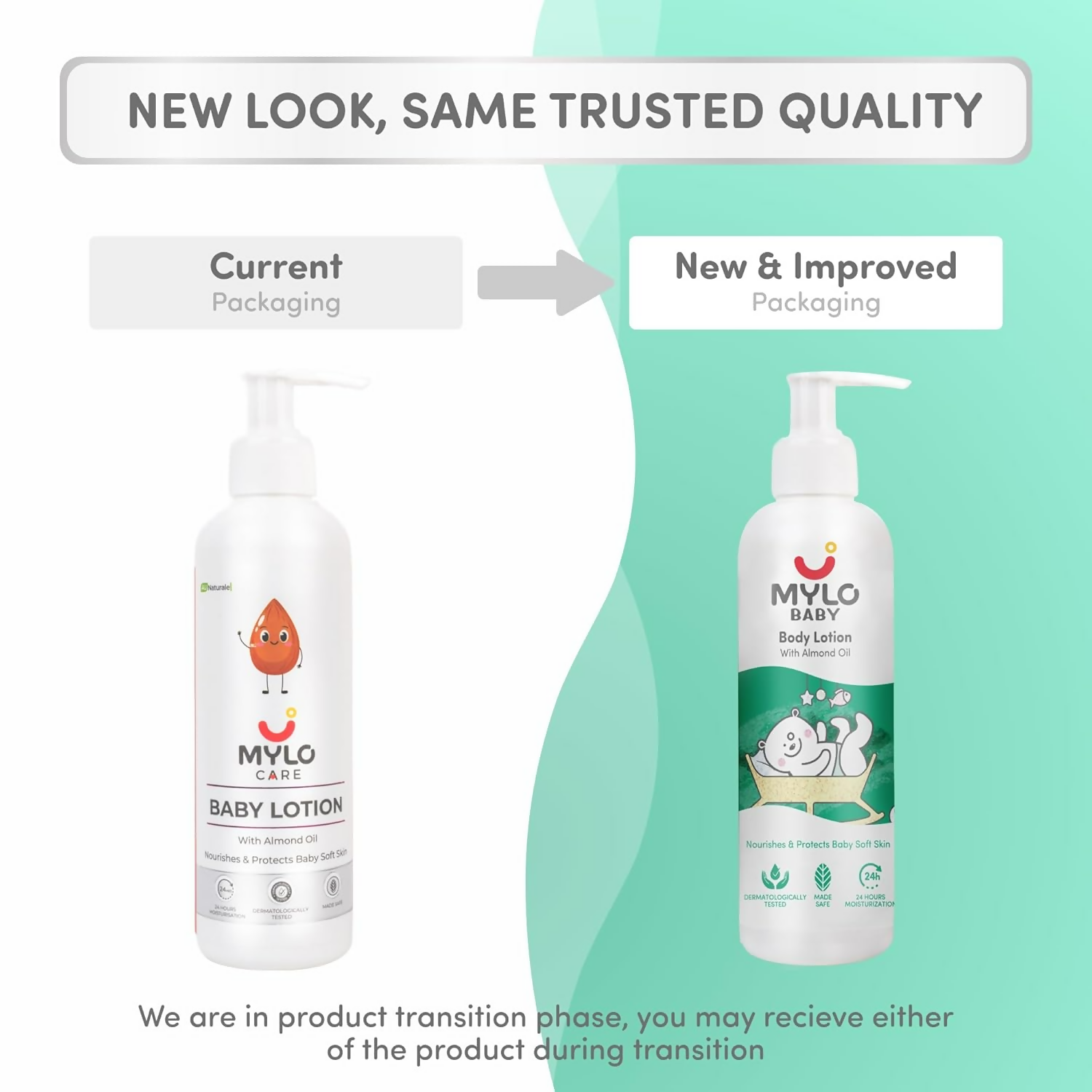 download - 2025-01-27T131105.717