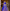 Lehenga Mart Designer Wedding Lehenga Choli For Women - Blue - Distacart