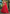 Lehenga Mart Designer Wedding Lehenga Choli For Women - Red - Distacart