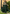 Lehenga Mart Designer Wedding Lehenga Choli For Women - Green - Distacart