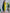 Aastha Fashion Parrot Roman Silk Hand Work Festival Wear Suit - Distacart