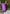 Aastha Fashion Dark Purple Roman Silk Hand Work Festival Wear Suit - Distacart