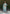 Aastha Fashion C-Green Roman Silk Hand Work Festival Wear Suit - Distacart