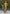 Aastha Fashion Mustard Yellow Roman Silk Hand Work Festival Wear Suit - Distacart