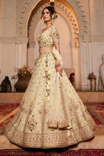 Thumbnail for Aastha Fashion Cream Tissue Embroidery Lehenga Choli