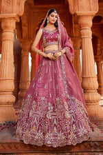 Thumbnail for Aastha Fashion Pink Tissue Embroidery Lehenga Choli