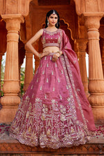 Thumbnail for Aastha Fashion Pink Tissue Embroidery Lehenga Choli