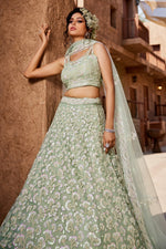 Thumbnail for Aastha Fashion Lime Green Net Embroidery Lehenga Choli