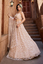 Thumbnail for Aastha Fashion Nude Net Embroidery Lehenga Choli