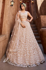 Thumbnail for Aastha Fashion Nude Net Embroidery Lehenga Choli