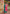 Aastha Fashion Pink Chinon Glamorous Festival Wear Pakistani Suit