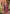 Aastha Fashion Purple Chinon Glamorous Festival Wear Pakistani Suit