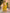 Aastha Fashion Yellow Chinon Glamorous Festival Wear Pakistani Suit