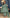 Aastha Fashion Light Green Faux Georgette Glamorous Festival Wear Pakistani Suit