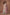 Aastha Fashion Peach Heavy PV Vichitra Glamorous Festival Wear Suit