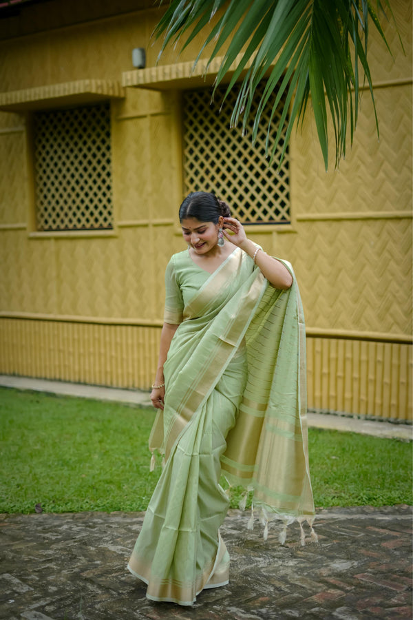 Aastha Fashion Pista Banarasi Raw Silk All Over Zari Saree
