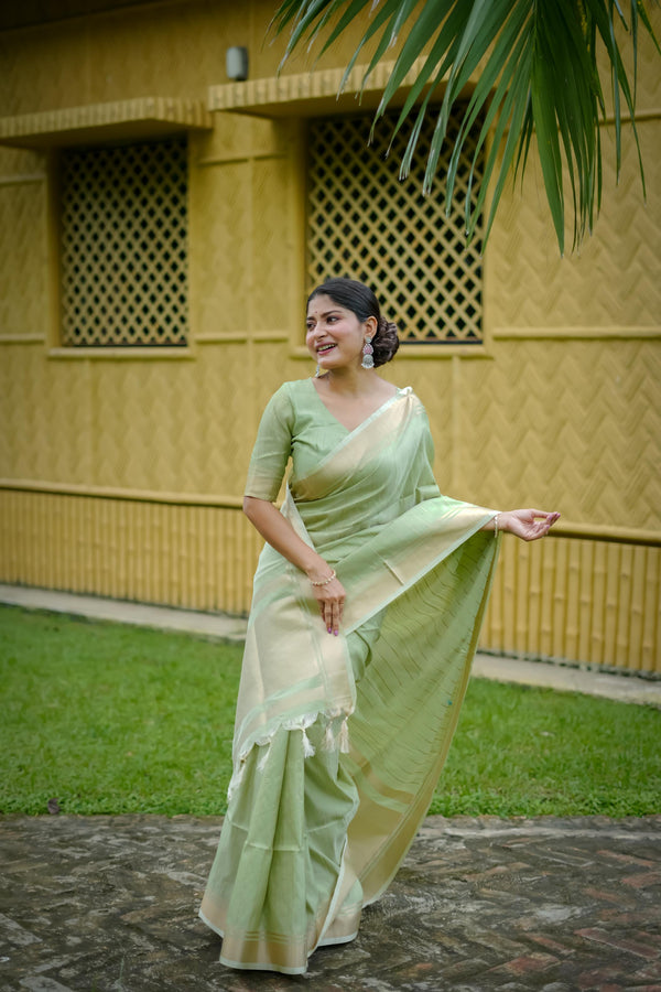Aastha Fashion Pista Banarasi Raw Silk All Over Zari Saree