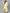 Ahalyaa Yellow Metallic Printed Koti Style Kurta For Women