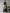 Ahalyaa Women Green & Mustard Yellow Solid Maxi Dress With Attached Dupatta