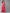 Ahalyaa Women Pink & Golden Foil Print Kurti with Sharara & Dupatta