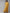 Ahalyaa Mustard Kurta with Palazzo Set