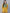 Ahalyaa Women's Mustard Yellow & Green Printed A-Line Tunic