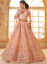 Thumbnail for Vegaa Fashion Cream Net Thread Work Wedding Lehenga