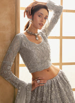 Thumbnail for Vegaa Fashion Grey Net Thread Work Wedding Lehenga