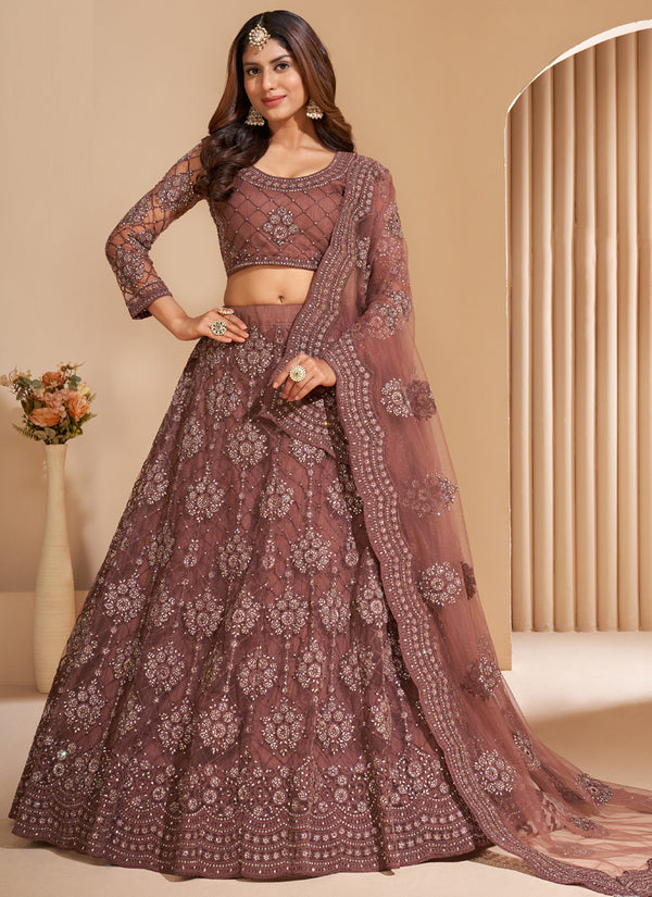 Vegaa Fashion Brown Net Embroidery Designer Lehenga Choli