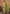 Vegaa Fashion Yellow Chinon Silk Embroidered Salwar Suit