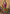 Vegaa Fashion Rani Pink Chinon Silk Embroidered Salwar Suit
