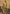 Vegaa Fashion Yellow Chinon Silk Embroidered Salwar Suit