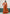 Vegaa Fashion Orange Faux Georgette Embroidered Western Sharara Suit