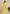 Vegaa Fashion Yellow Net Embroidered Designer Anarkali Suit