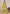 Vegaa Fashion Yellow Silk Embroidered Designer Palazzo Suit