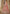 Vegaa Fashion Orange Net Embroidered Anarkali Suit