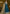 Vegaa Fashion Royal Blue Chanderi Butti Embroidered Anarkali Suit