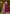 Vegaa Fashion Rani Pink Chanderi Butti Embroidered Anarkali Suit
