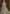 Vegaa Fashion Sea Green Net Embroidered Anarkali Suit