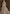 Vegaa Fashion Lavender Net Embroidered Anarkali Suit