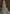 Vegaa Fashion Aqua Blue Net Embroidered Anarkali Suit